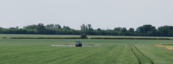 Winter cereal spraying