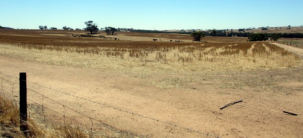 Drought in Australia