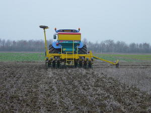 Cultivations on the STAR project