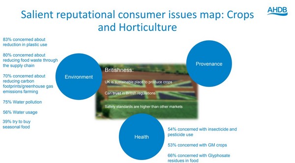 Table showing reputational consumer issues