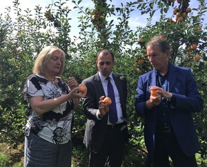 NIAB CEO Dr Tina Barsby, NIAB EMR MD Prof Mario Caccamo & NIAB Board Director Dr Nigel Kerby taste-testing Malling Sunburst