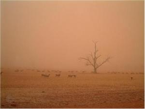 Wind erosion near Melbourne, Australia